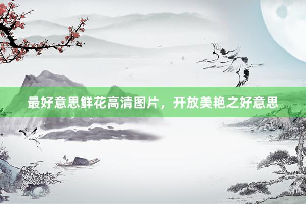 最好意思鲜花高清图片，开放美艳之好意思