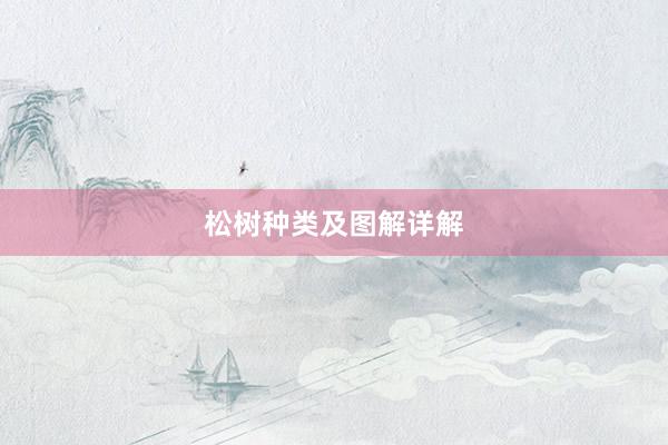 松树种类及图解详解