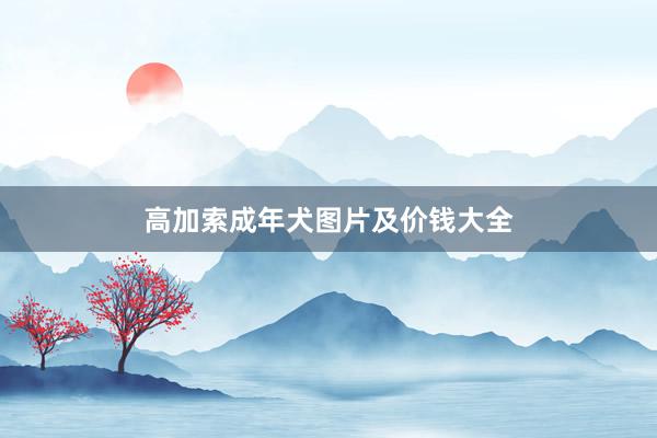 高加索成年犬图片及价钱大全