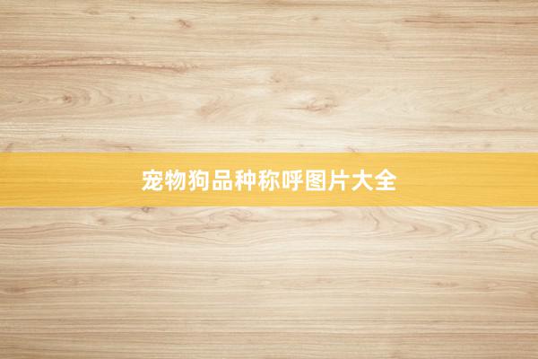 宠物狗品种称呼图片大全